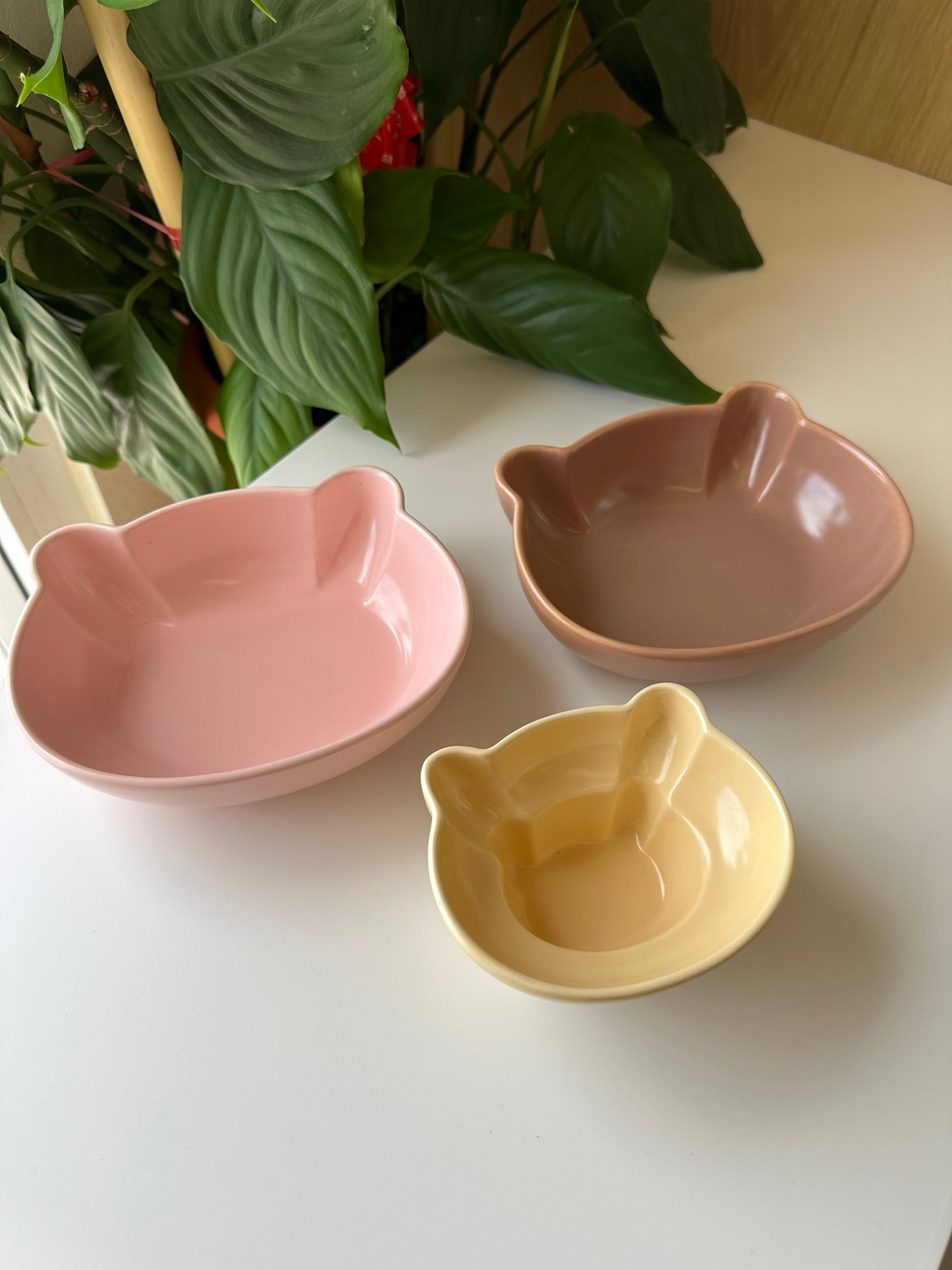 Bear Bowl (1 piece)